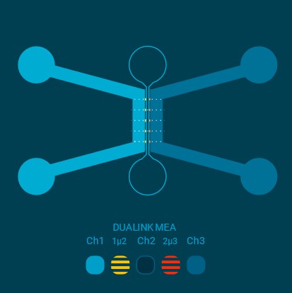 DuaLink MEA EDGE