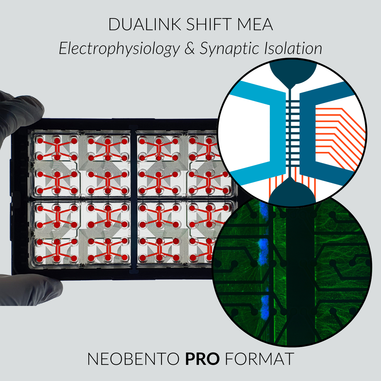 DuaLink Shift MEA PRO