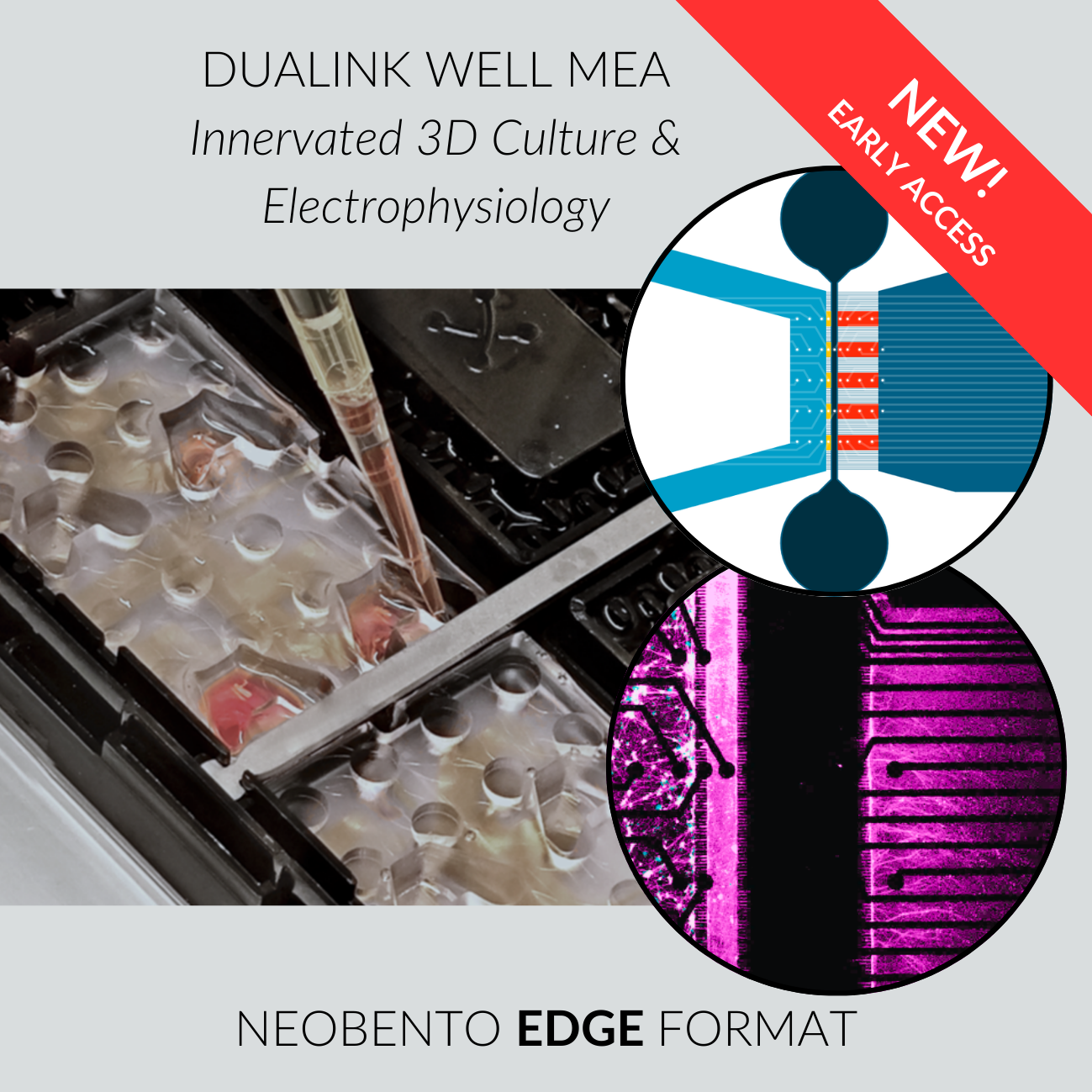 DuaLink Well MEA EDGE