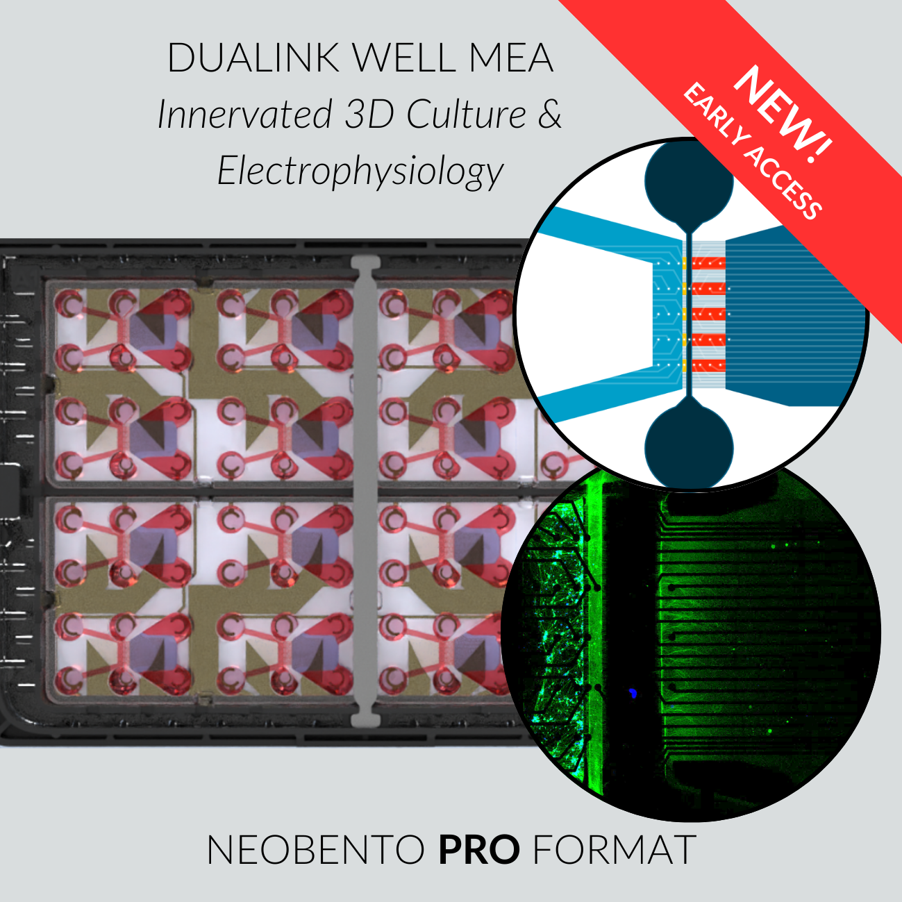 DuaLink Well MEA PRO