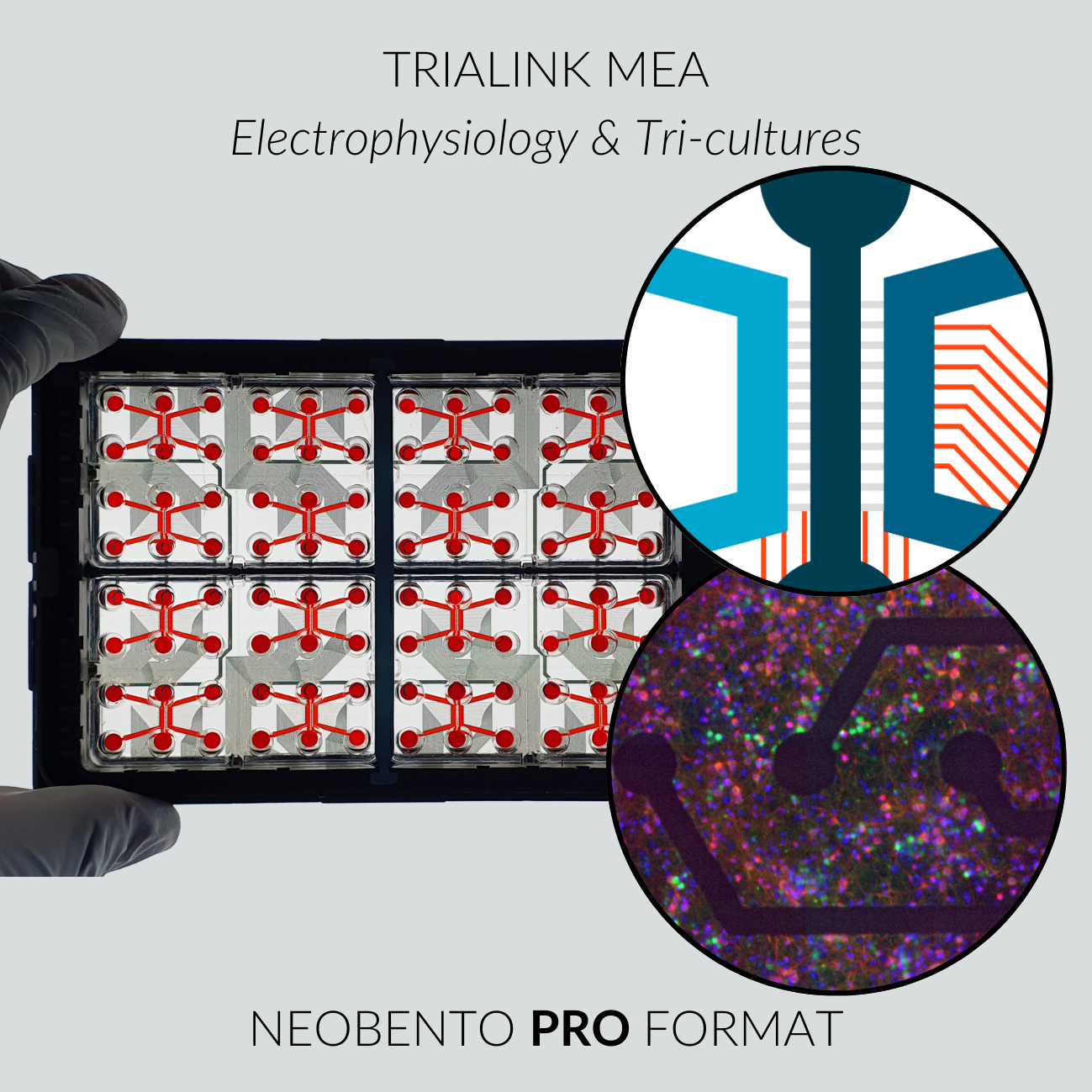 TriaLink MEA PRO