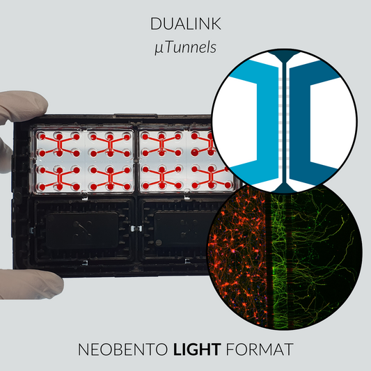 DuaLink LIGHT