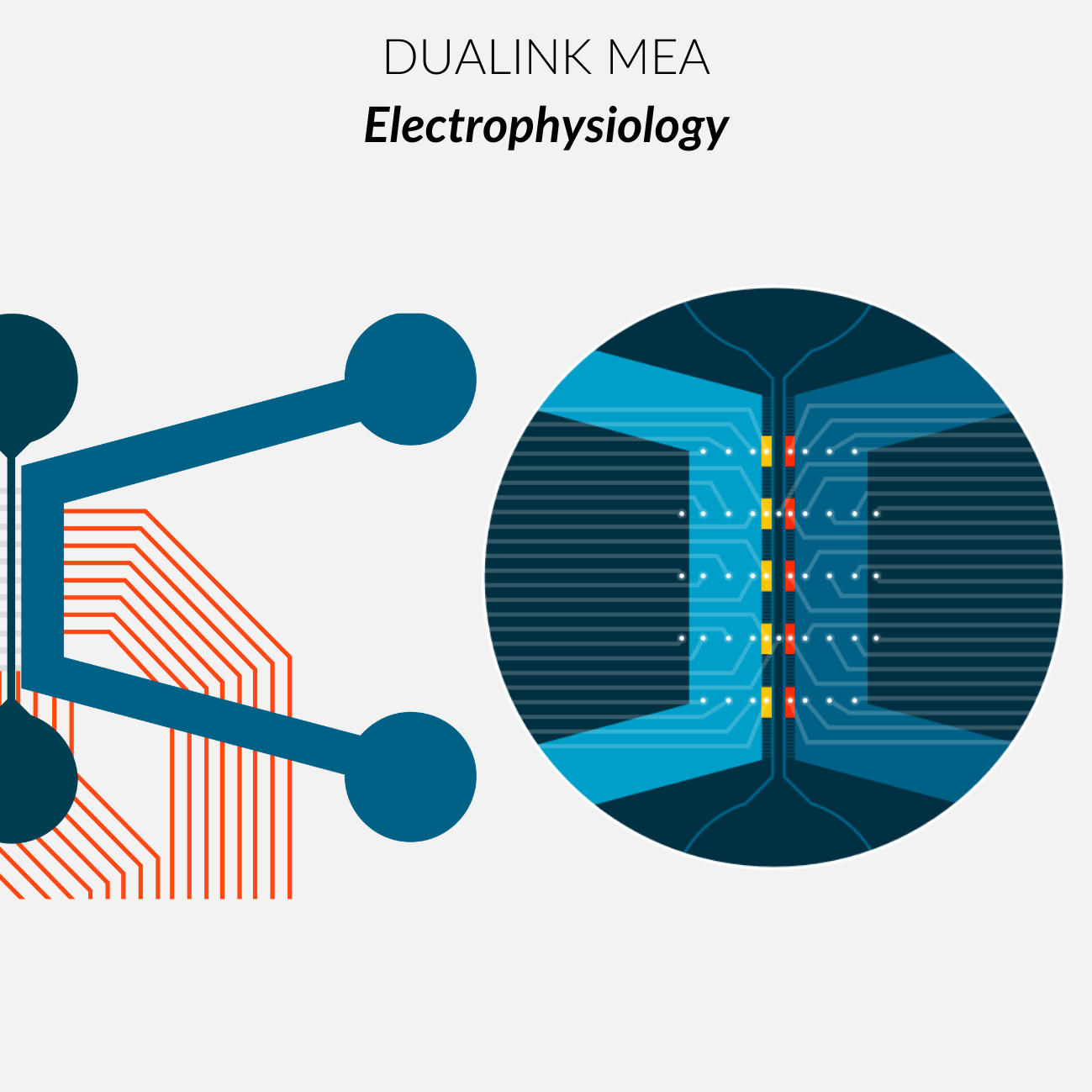 DuaLink MEA EDGE