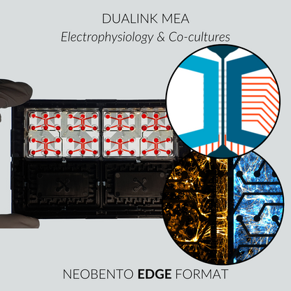 DuaLink MEA EDGE