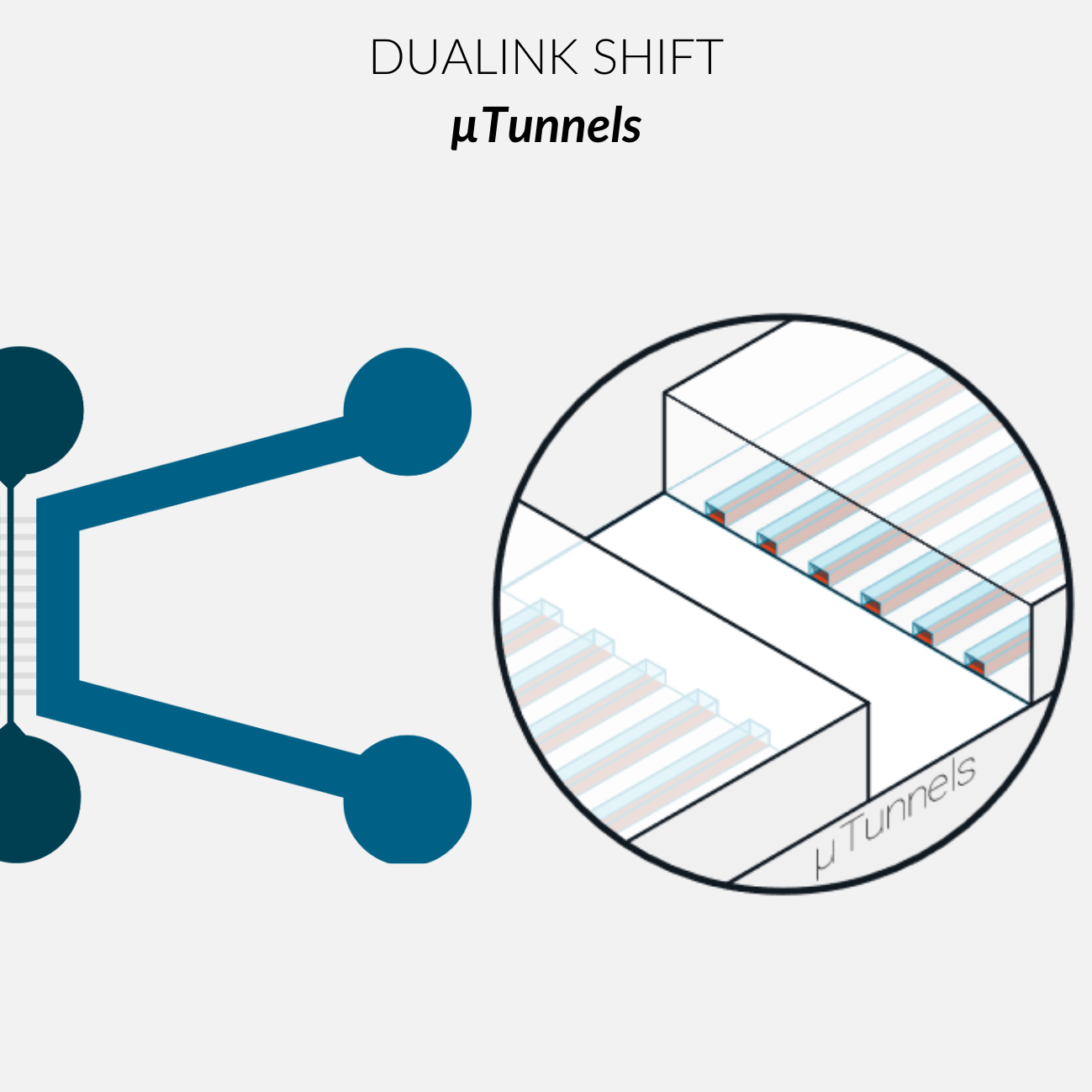 DuaLink Shift FULL