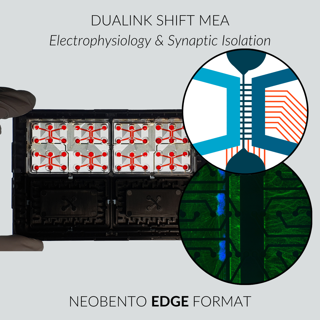 DuaLink Shift MEA EDGE