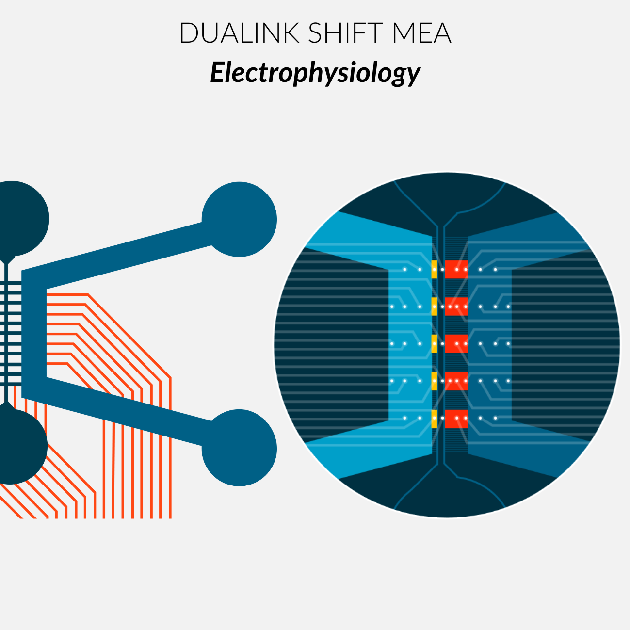DuaLink Shift MEA EDGE