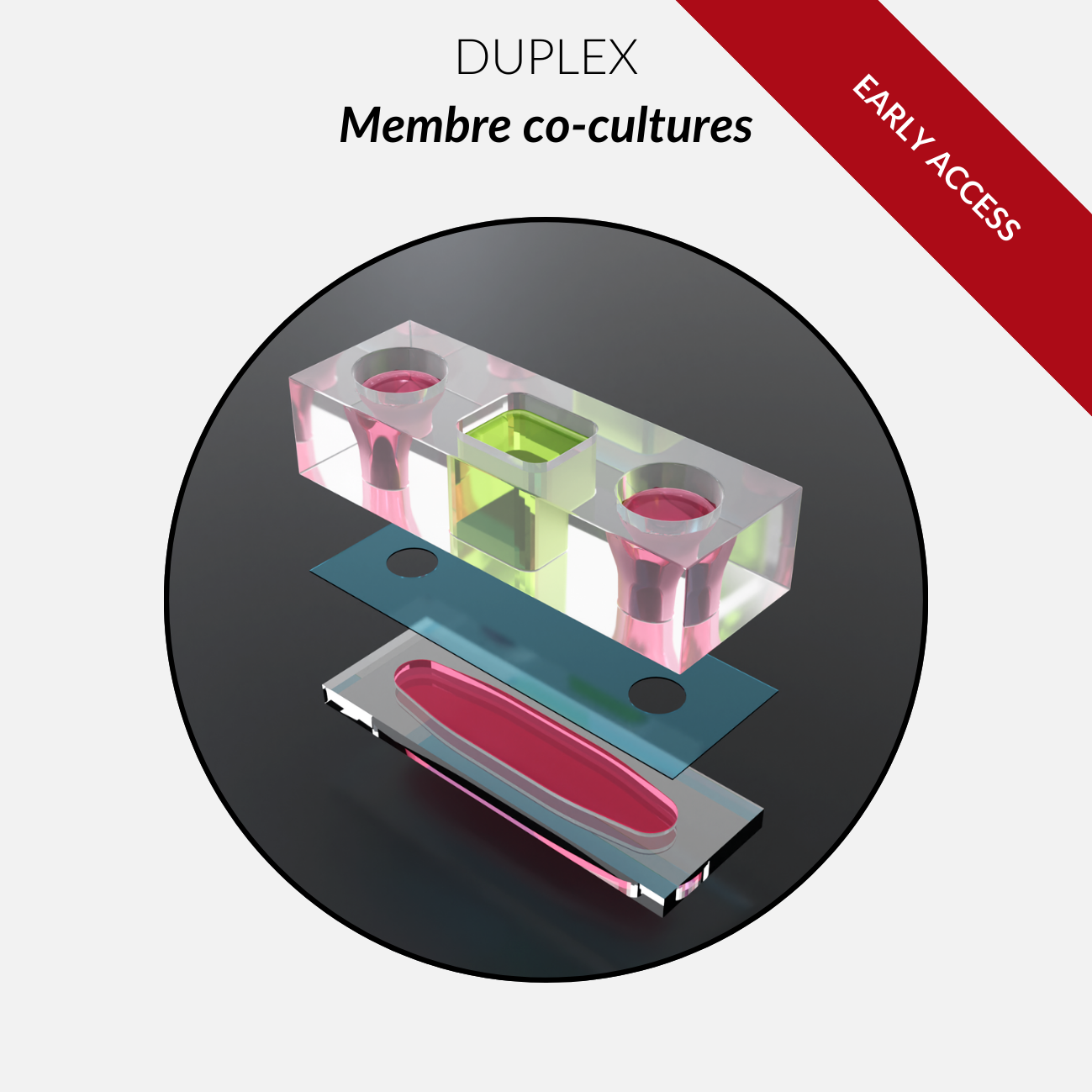 Duplex FULL - Beta Version