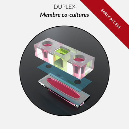 Duplex FULL - Beta Version