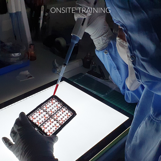Onsite Microfluidics Training