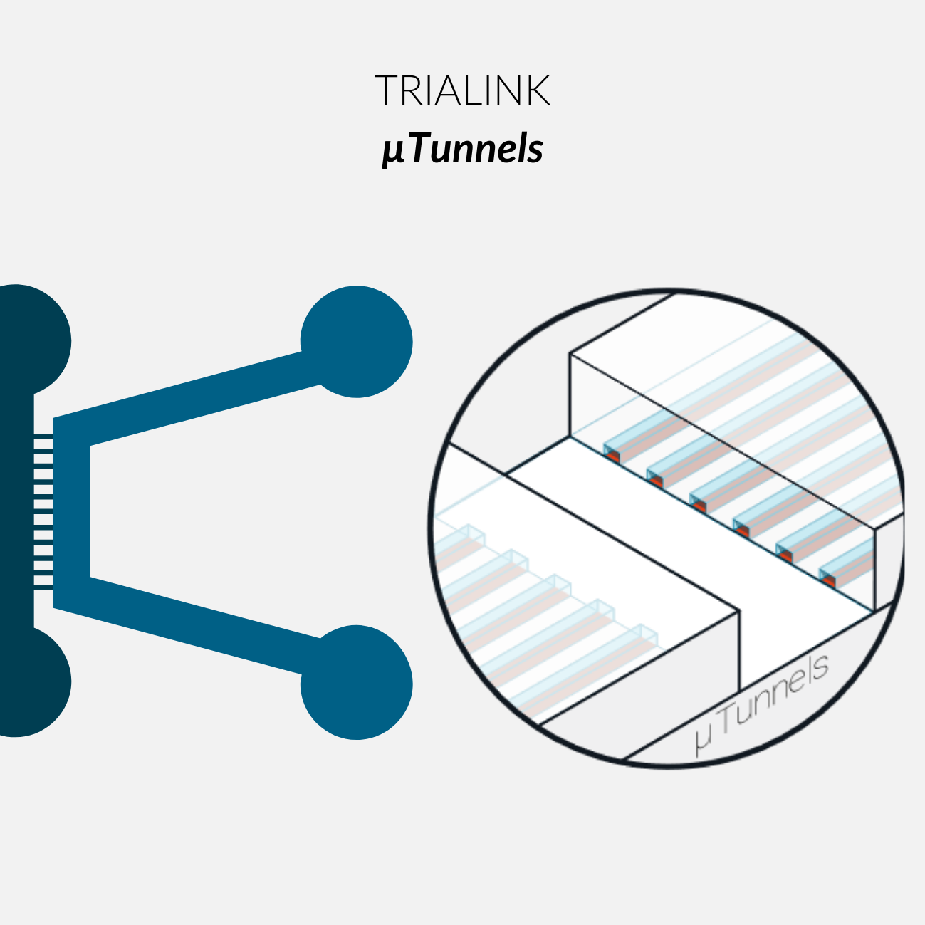 TriaLink FULL