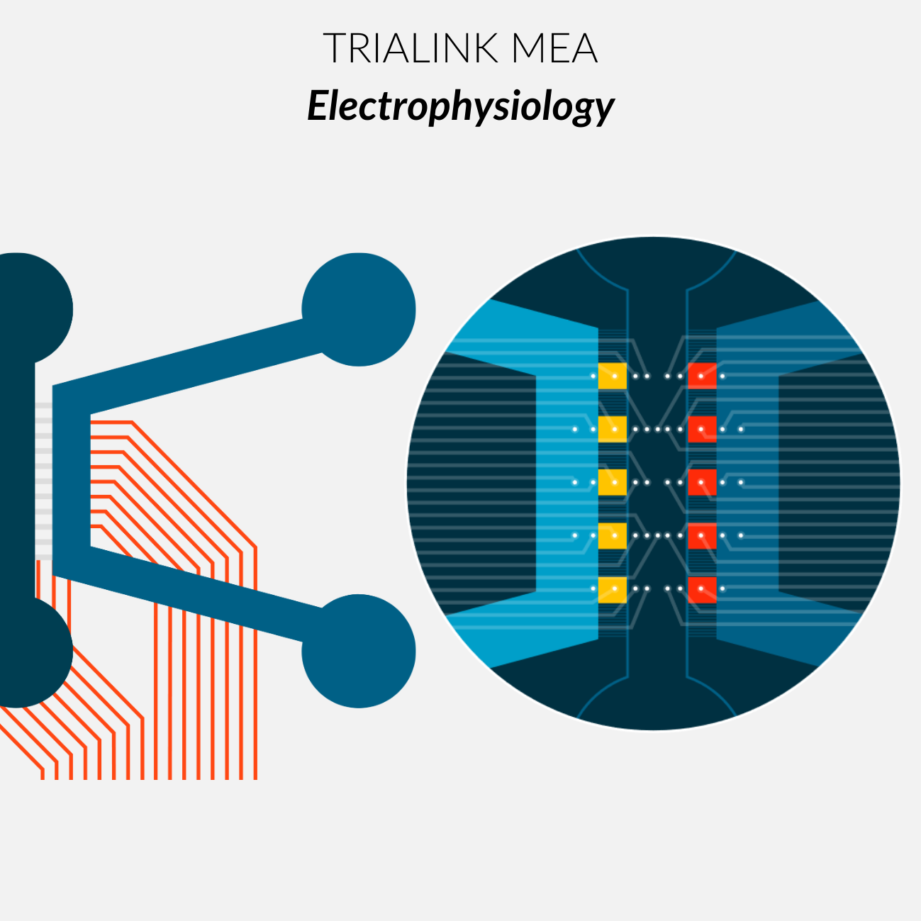 TriaLink MEA EDGE